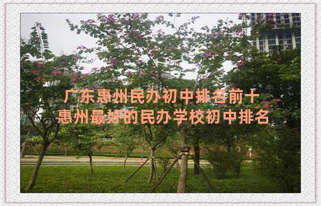 广东惠州民办初中排名前十 惠州最好的民办学校初中排名